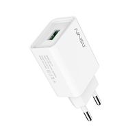 USB зарядка - блок живлення 5V 2.1 ампера з захистом від перевантаження Naisu NS-17