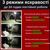 Ліхтар для кемпінгу та надзвичайних ситуацій з акумулятором 9900 мАг Nectronix YN-F03С (холодне світло), зображення 3