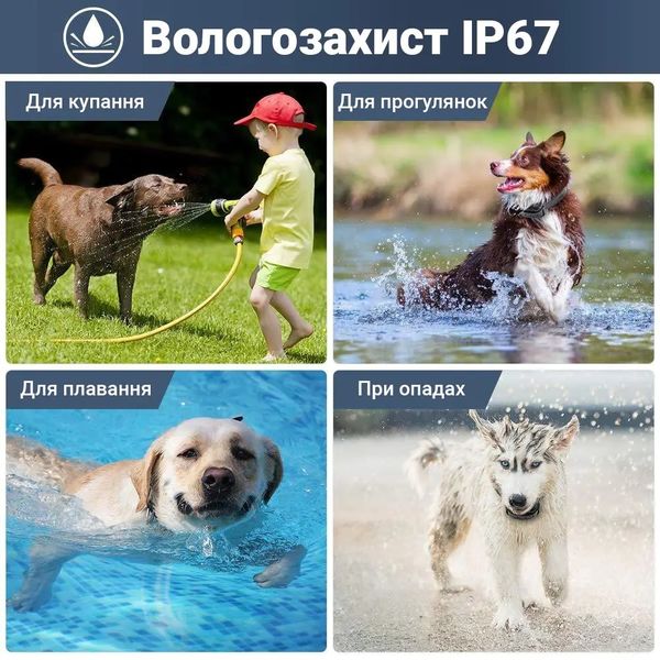 Електронний нашийник для дресування собак вологозахищений акумуляторний Petainer PET998DB до 300 метрів, зображення 9