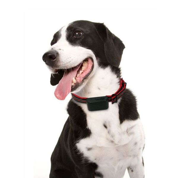 Електронний ошийник для собаки для дресирування + антилай 2 в 1 Dobe DB 500, червоний ремінець, зображення 6