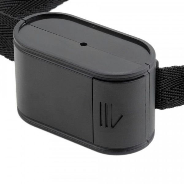 Електронний паркан для 3-x собак Pet 023, c 3-ма нашийниками, зображення 2