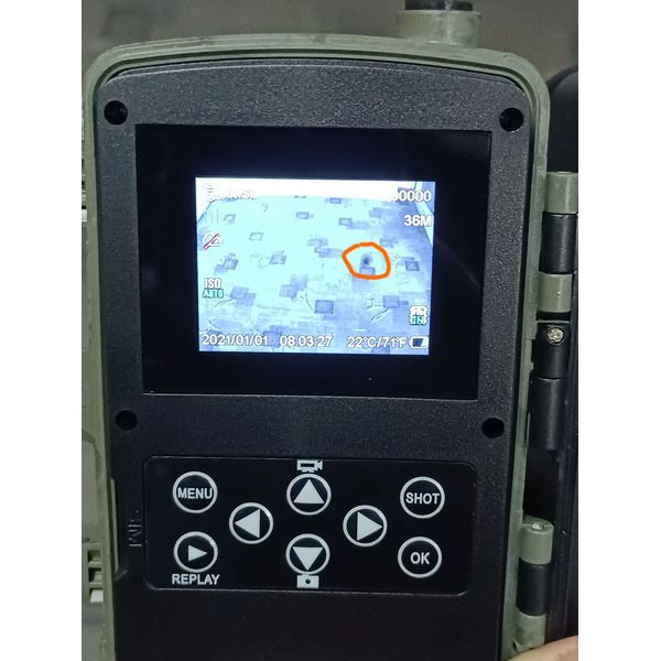 Фотопастка 4G камера для полювання з передачею 4K відео у смартфон Suntek HC-801Pro (УЦІНКА), зображення 6